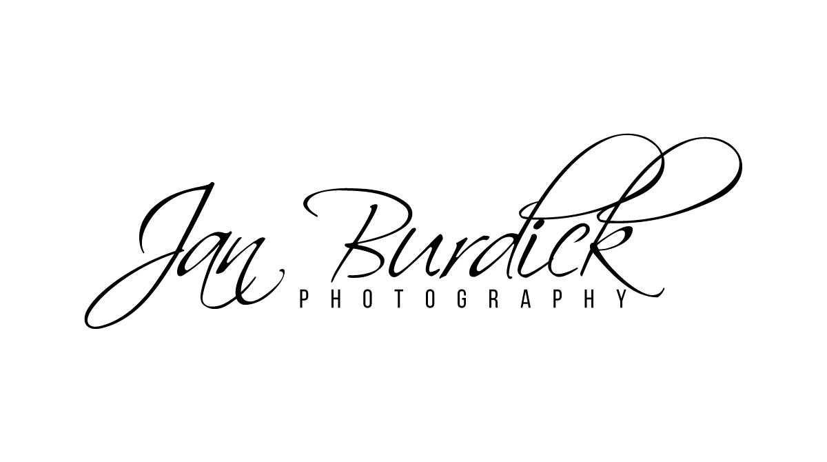 4burds logo